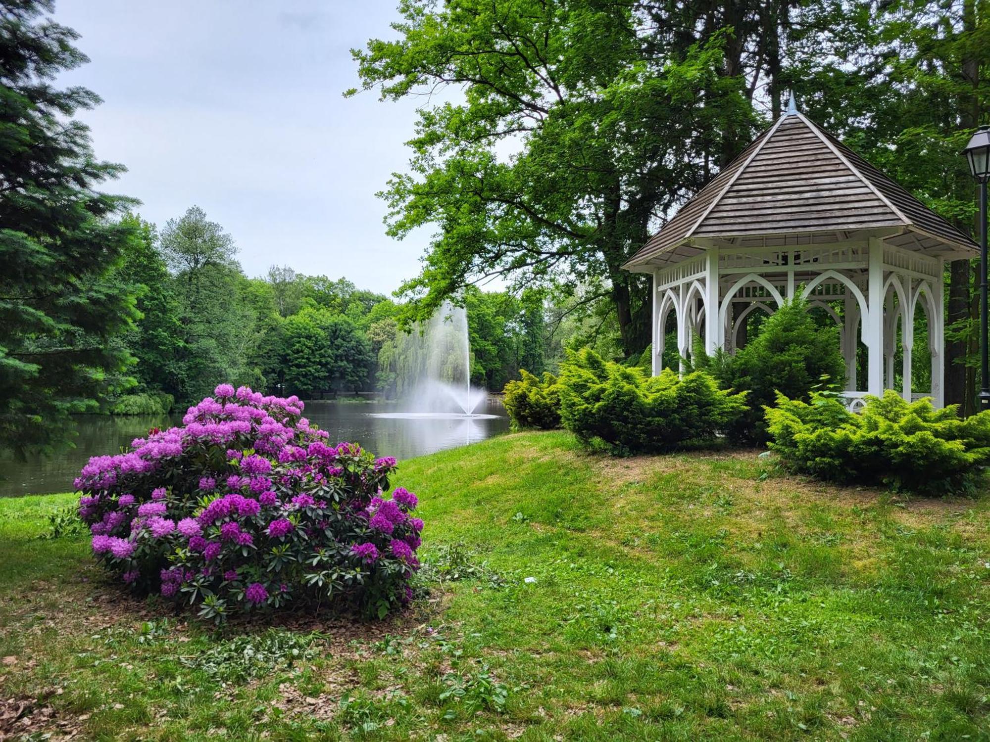 Villa Klara Cieplice Еленя-Гура Экстерьер фото
